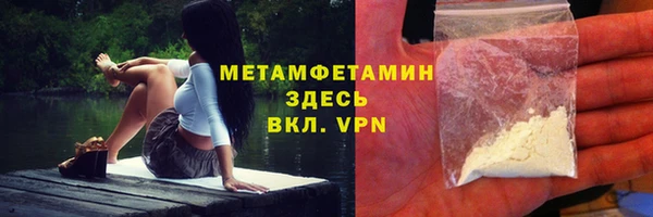 сатива Балахна