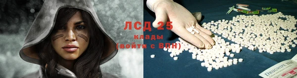 сатива Балахна